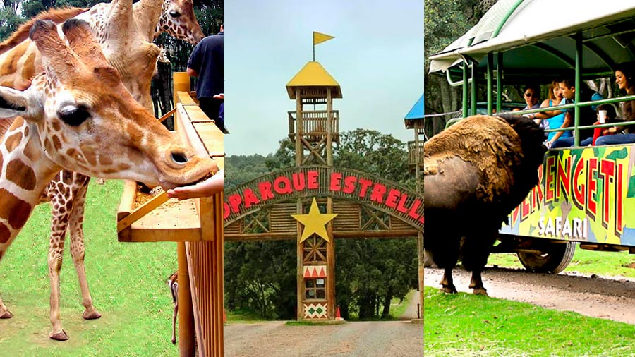 Bioparque Estrella – Chapa de Mota