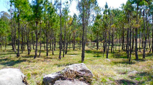 Lugares turísticos para realizar senderismo y camping