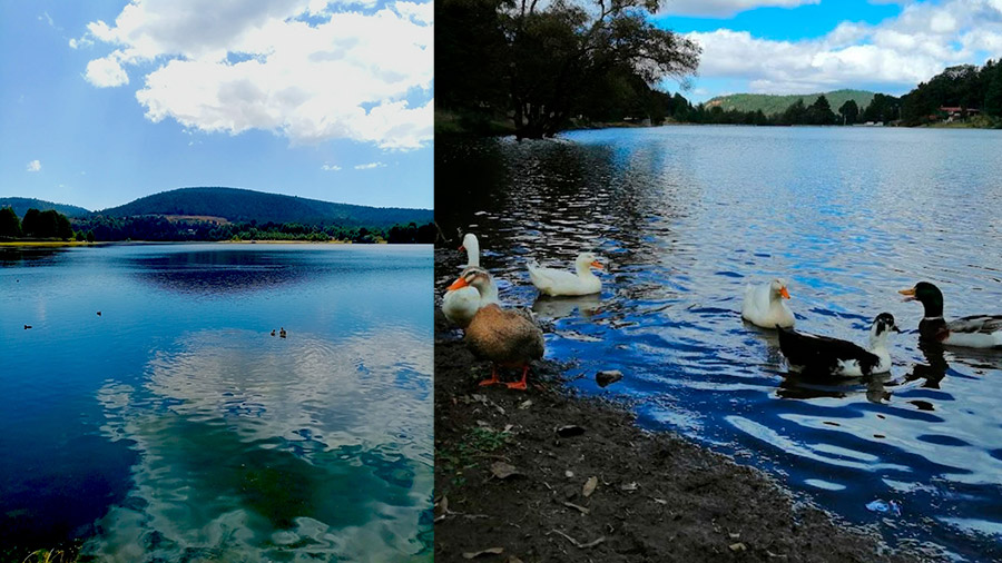 Presa Brockman y Presa La Victoria El Oro Pueblo Mágico