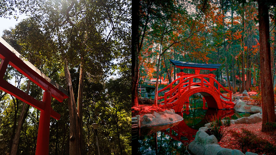 ¿Parque Chino o Japonés en CDMX?